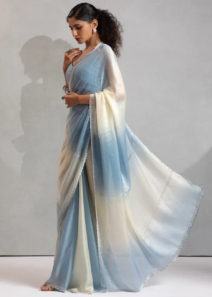 Blue and White Organza Saree with Stone Work
