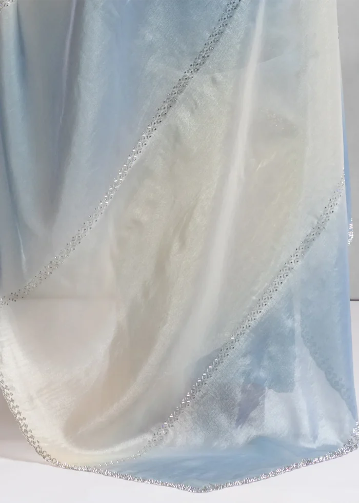 Blue and White Organza Saree with Stone Work