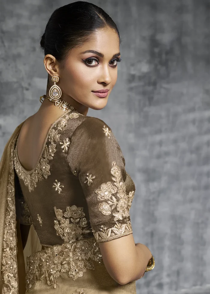 Embroidered Olive Brown Tissue Silk Saree