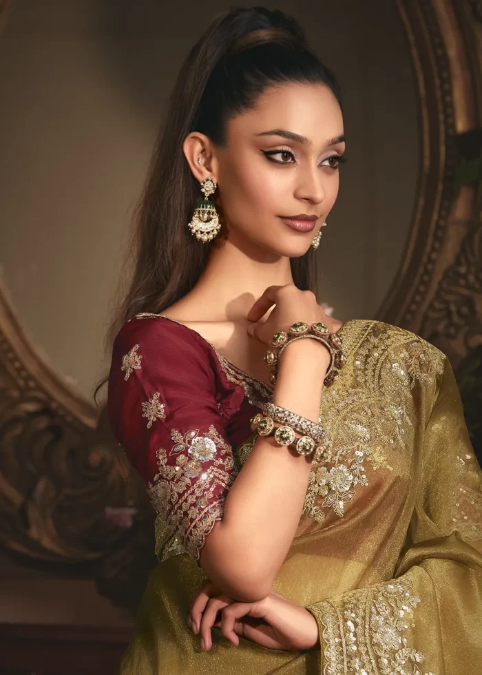 Embroidered Antique Brown Organza Saree