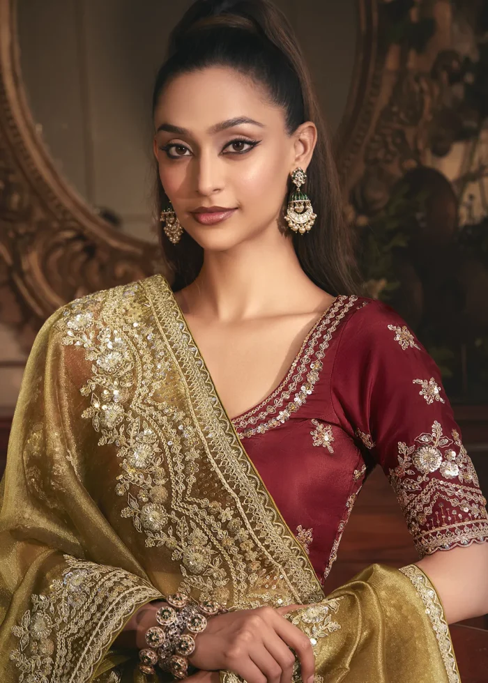 Embroidered Antique Brown Organza Saree