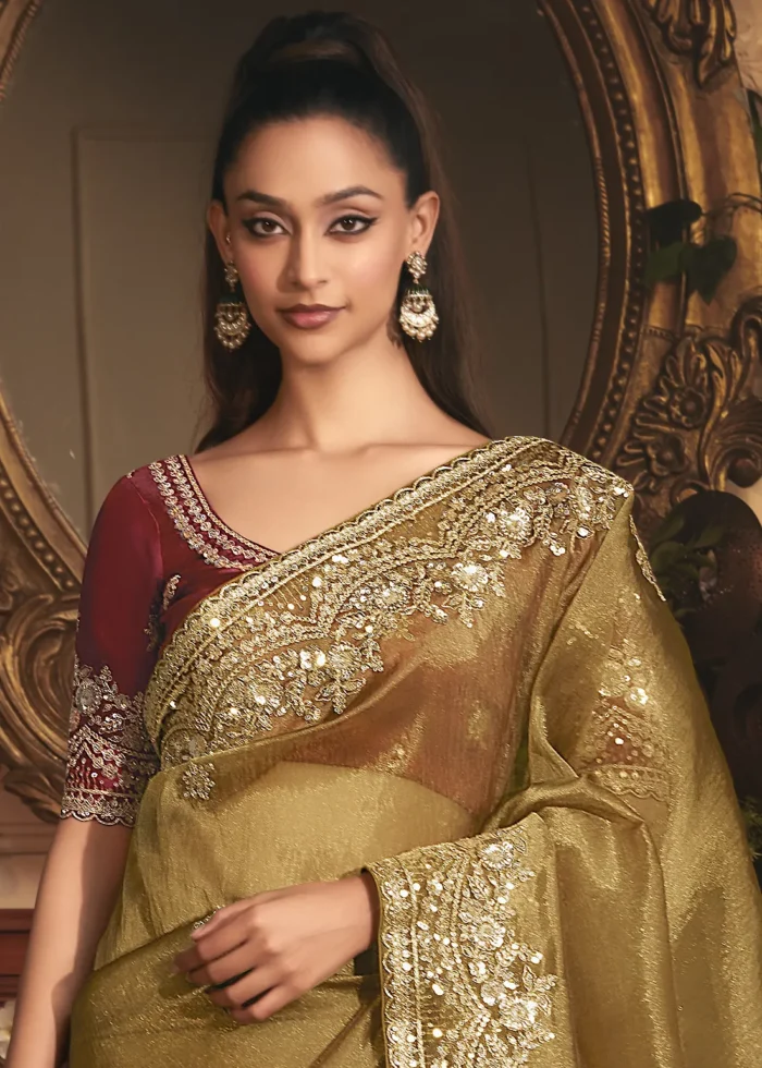 Embroidered Antique Brown Organza Saree